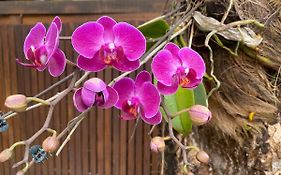 Flores do Mar
